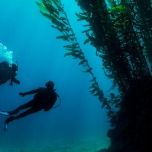 PADI Deep Diver TossaDivers